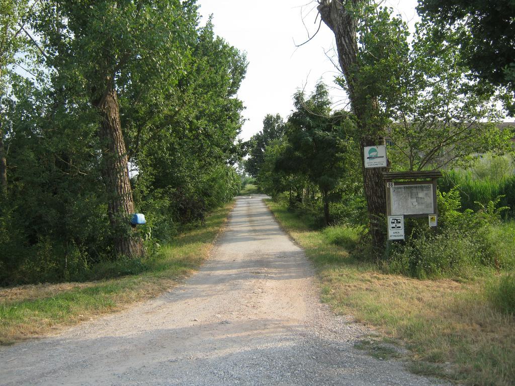 Agriturismo Lucchetta Reggiolo Εξωτερικό φωτογραφία